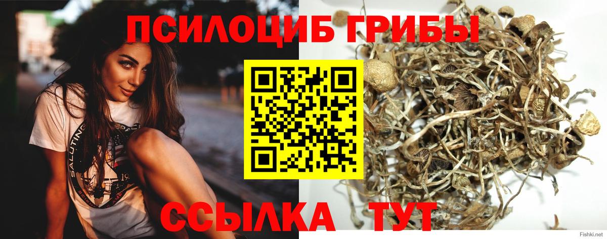 Благодарный  Галлюциногенные грибы Psilocybe  магазин продажи наркотиков  Вход с VPN 